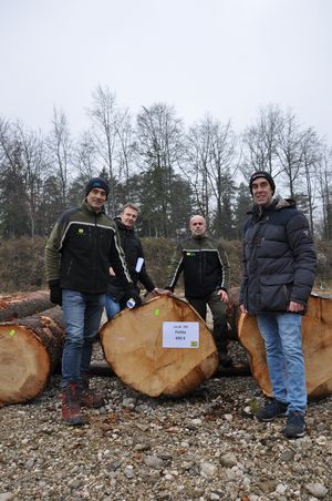 Obmann Franz Kepplinger, GF DI (FH) Andreas Hofbauer, Projektleiter Submission Martin Riedl, Waldhelfer Daniel Stockinger mit dem Siegerstamm 2024