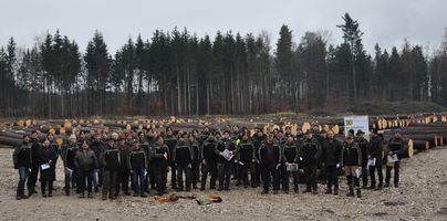 Ergebnispräsentation und Analyse der Stämme im Kreise der Waldhelfer