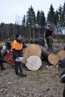 Stammanalyse im Zuge der Ergebnispräsentation