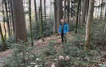 Bitte stimmen Sie die Nutzung vorab mit dem Waldhelfer ab. Bitte stimmen Sie die Nutzung vorab mit dem Waldhelfer ab.